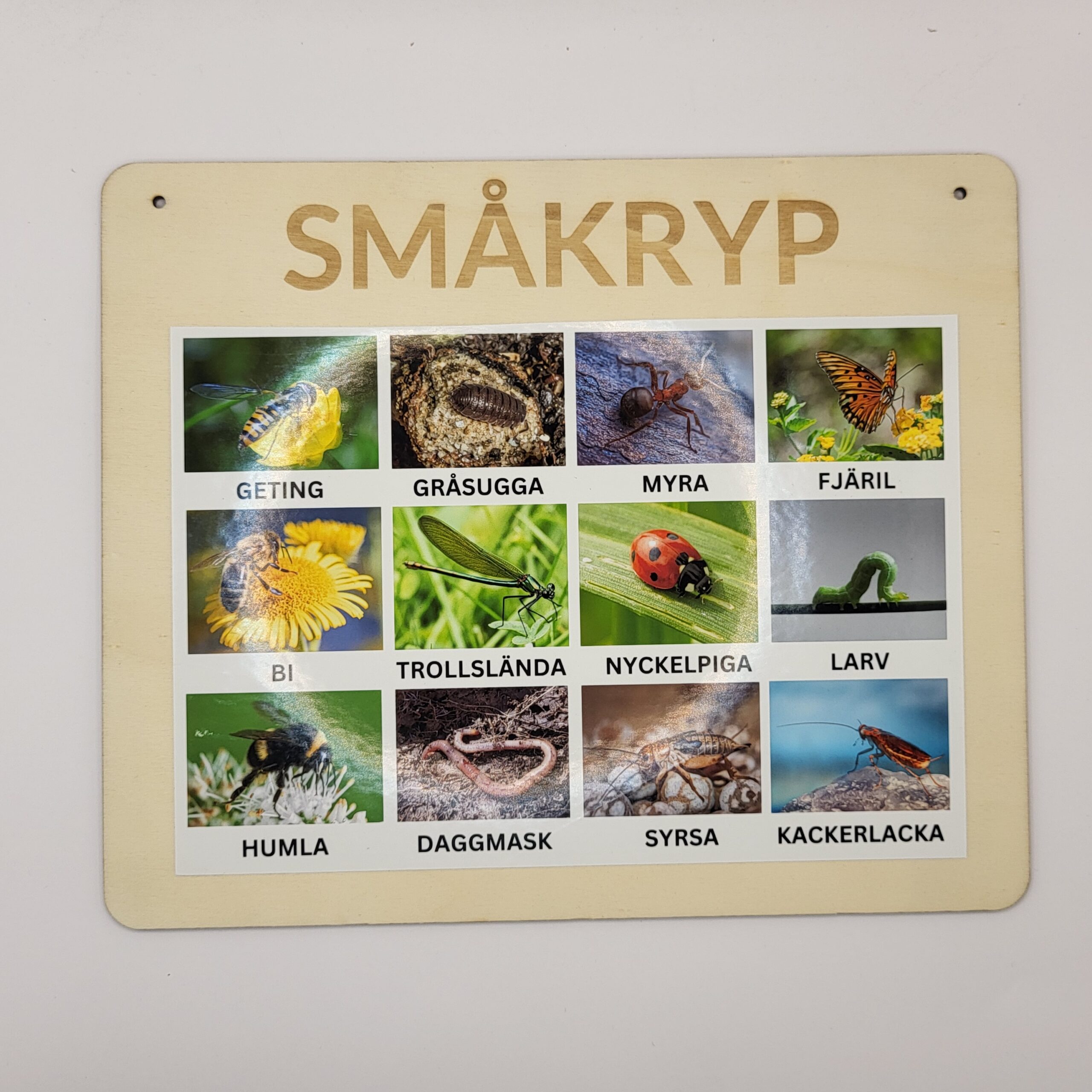 Småkryp